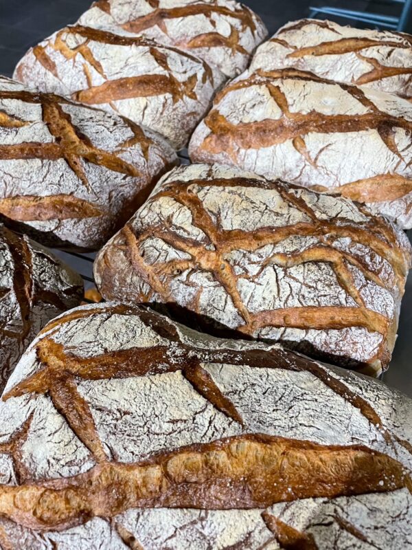 Pavé au Levain